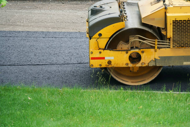 Best Driveway Pavers Near Me  in Oakwood, IL